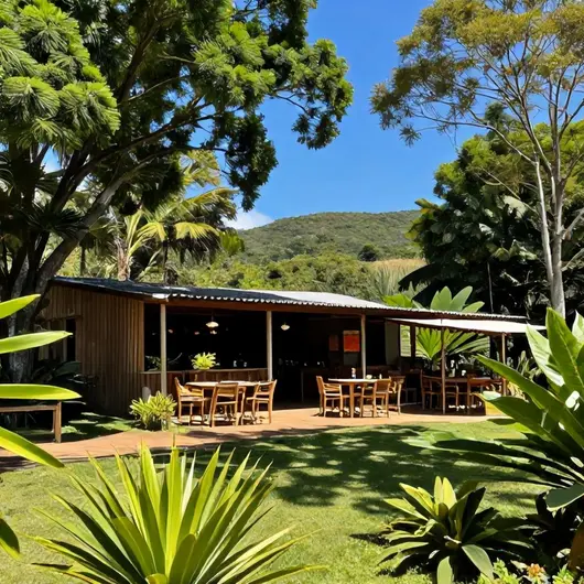 Descubra o Eco Bar