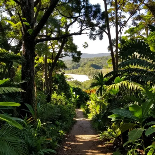 Descubra o Parque Estadual Paulo César Vinha